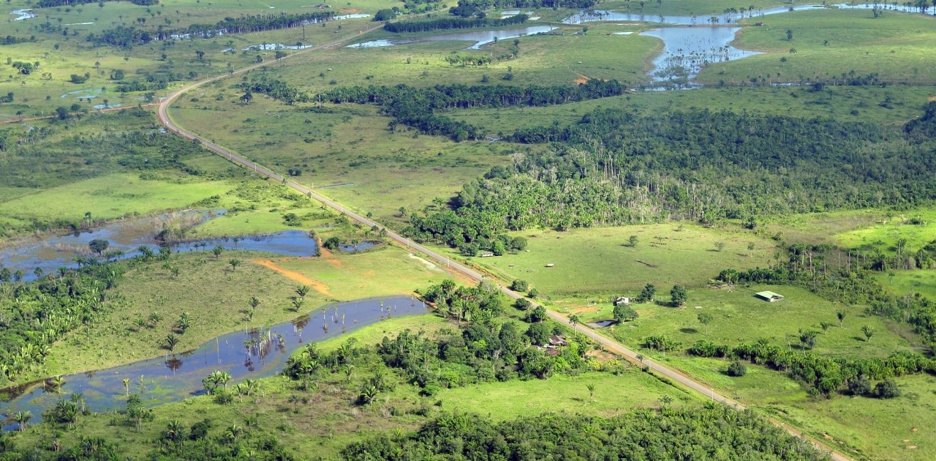 Aerial view of the Amazon Rainforest, near Manaus