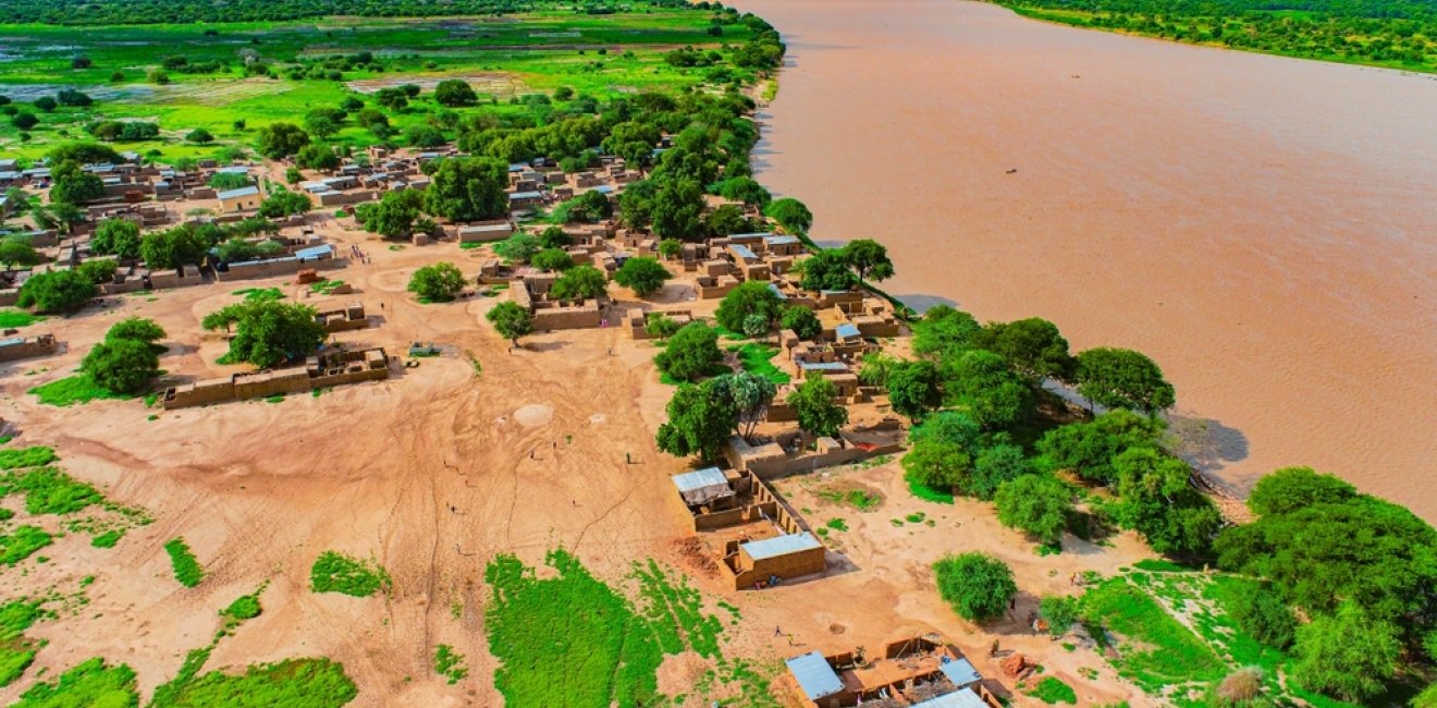 Flooded rice fields in Chad