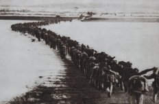 Chinese Troops Cross the Yalu River, 1950