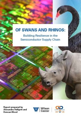 Of Swans and Rhinos Report Cover