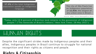 Indigenous Peoples of Brazil