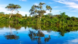 Dimensões Científicas, Sociais e Econômicas do Desenvolvimento da Amazônia - Event in Manaus, Brazil
