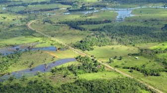 Aerial view of the Amazon Rainforest, near Manaus