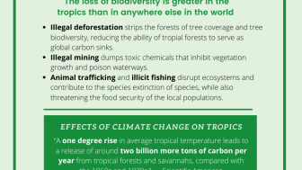 The State of the Global Tropics Infographic