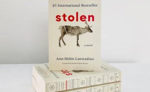 Stolen book cover
