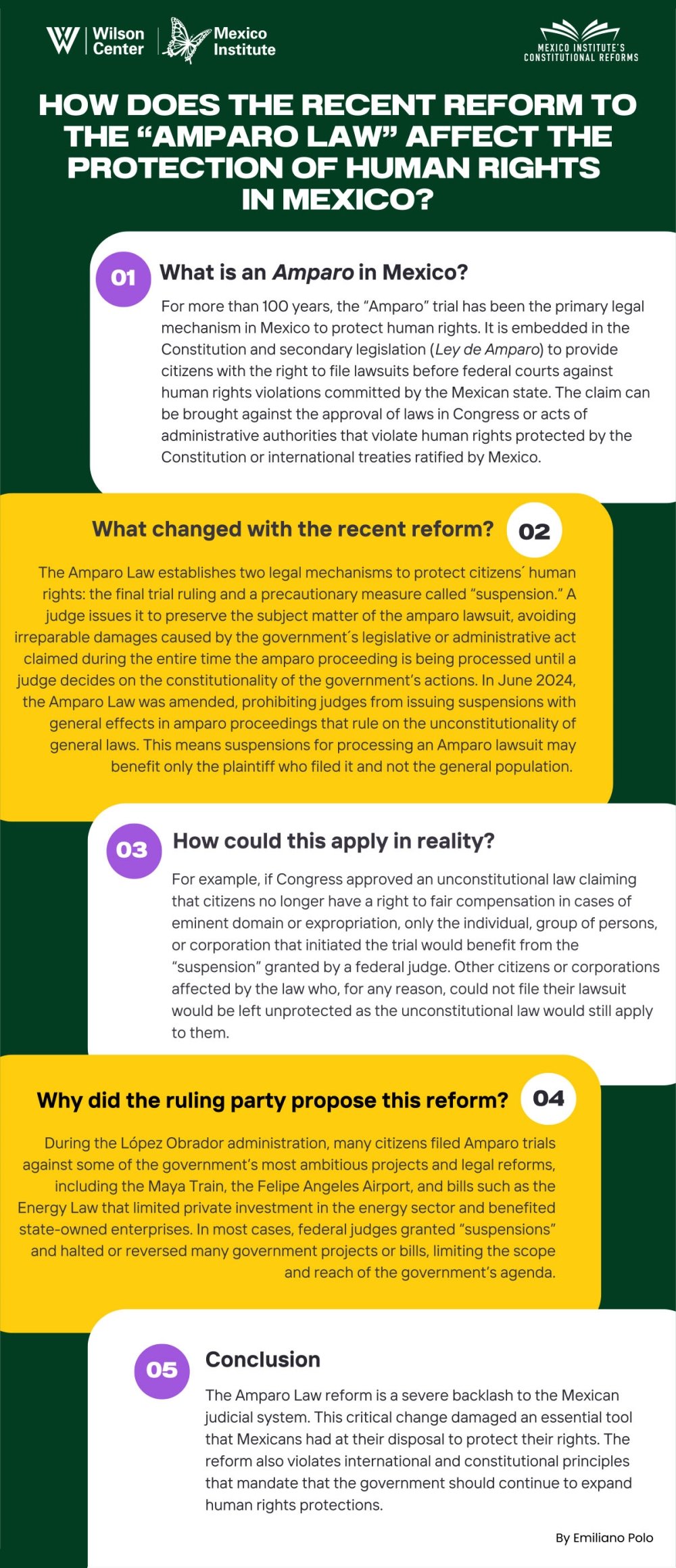 Amparo Law Infographic