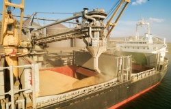 Loading grain into holds of sea cargo in Odesa, Ukraine.